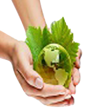 Agro Commodities Trading Company India