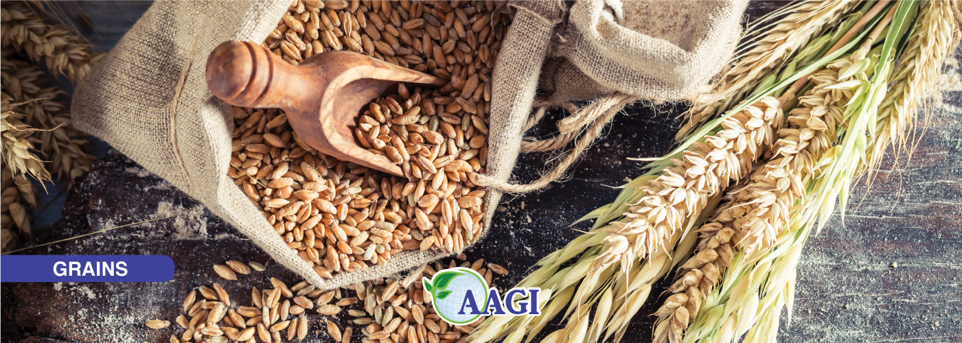Grains